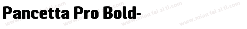 Pancetta Pro Bold字体转换